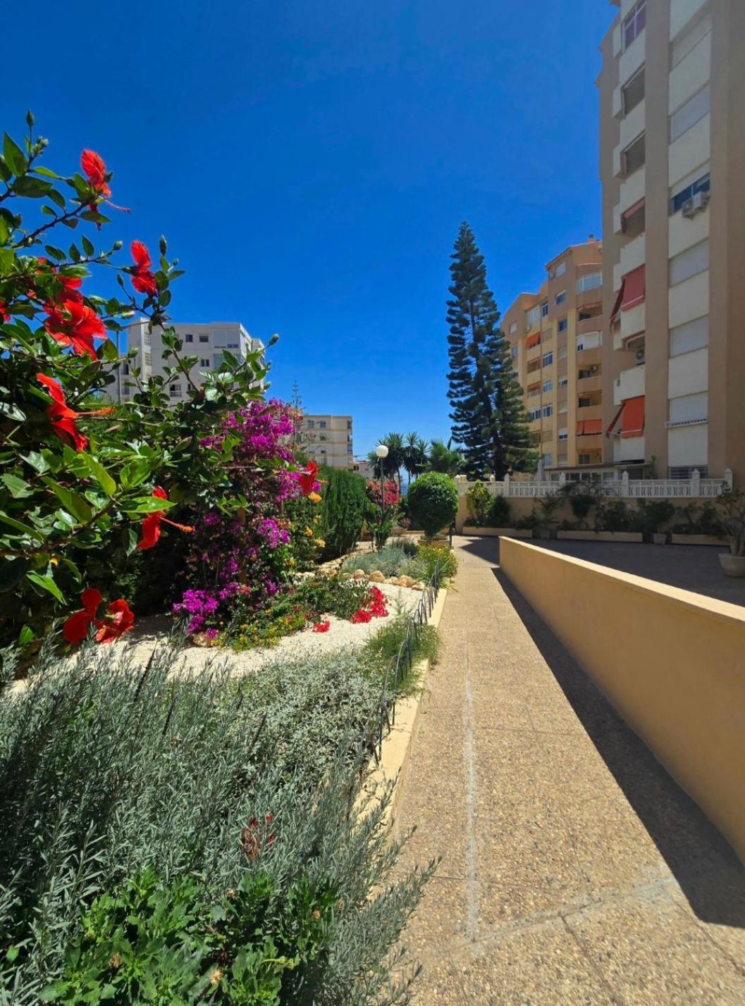 Mikasika - Duplex Apartment With Seasonal Swimming Pool & Walking Distance From The Beach La Cala Del Moral Exteriér fotografie